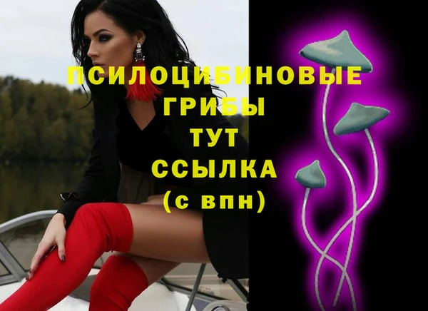 метадон Вяземский