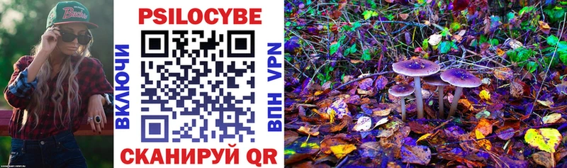 Галлюциногенные грибы мицелий  как найти закладки  Дно 
